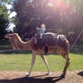 Whoohooo! Camel Ride!